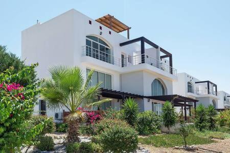 Joya Cyprus Mermaid Penthouse Apartment Agios Amvrosios  Exteriör bild